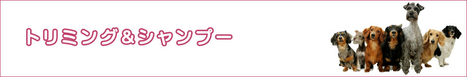 トリミング＆シャンプー
