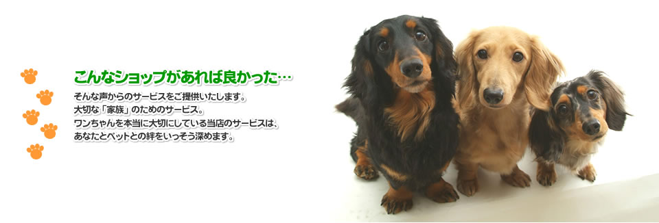 こんなショップがあれば良かった。そんな声から犬のしっぽを立ち上げました